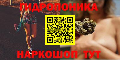 a pvp Апшеронск